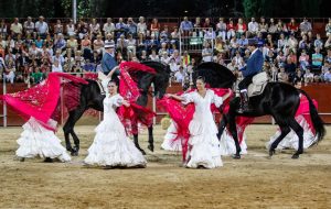 Arte y pasion sueños a caballo - Danza ecuestre