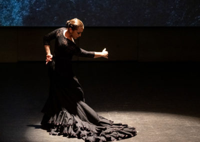 Encuentro. De la cultura andalusí al flamenco