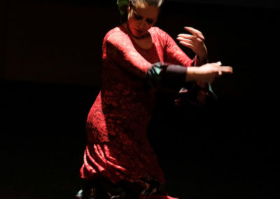 201220-Pilar-Domínguez-espectaculo-flamenco-Encuentro-03