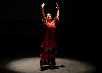 201220-Pilar-Domínguez-espectaculo-flamenco-Encuentro-flamenco-01